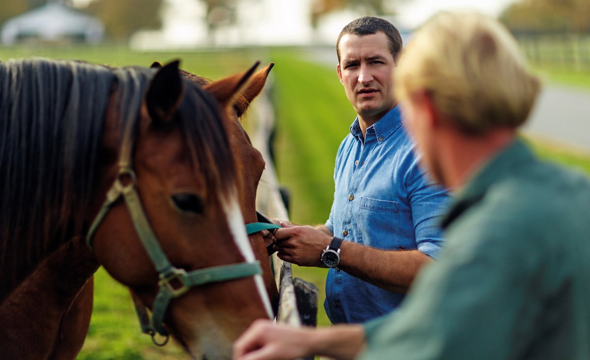 Two men tending to horses - Zoetis