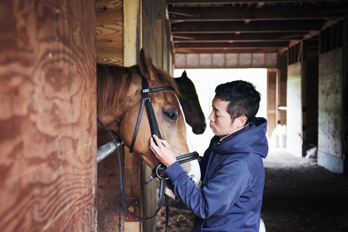 Man with horse