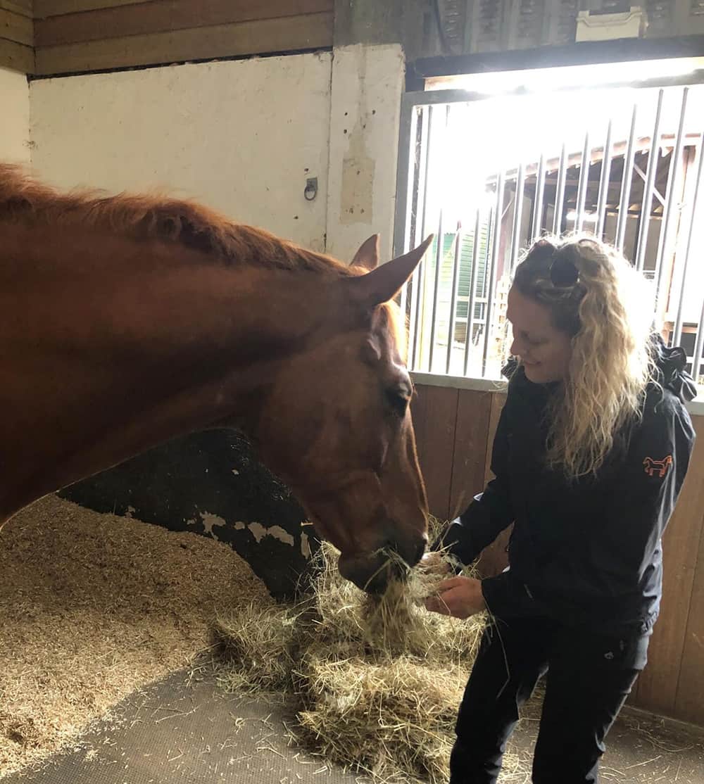Zoetis veterinarian feeding horse
