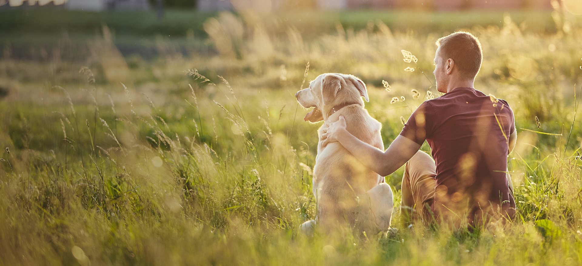 Dog owner sitting in field with his dog - Zoetis